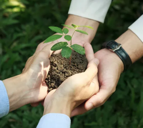 Semana Desarrollo Sostenible