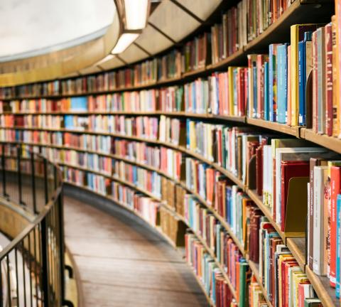 libros en estantes Sant Jordi Barcelona