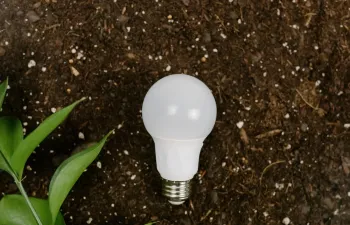 Bombilla en el suelo