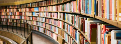 libros en estantes Sant Jordi Barcelona